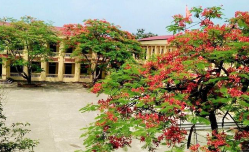 thay dau sua chua hop so