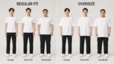 Áo Thun Trơn: Hướng Dẫn Chọn Chất Liệu, Form, Size, Màu Sắc Và Giá Phù Hợp